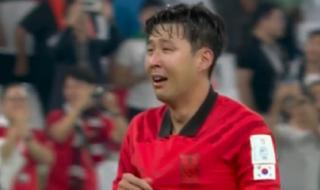 2022世界杯出线的国家 2022世界杯出线的国家